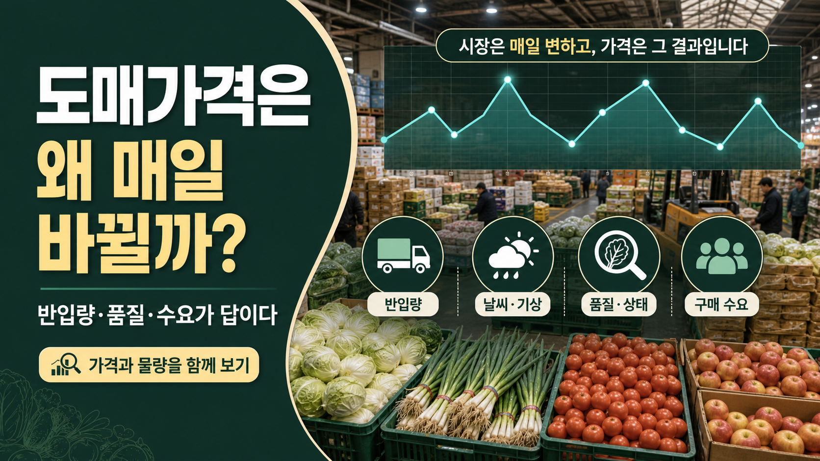 # 농산물 도매시장 가격이 매일 바뀌는 진짜 이유