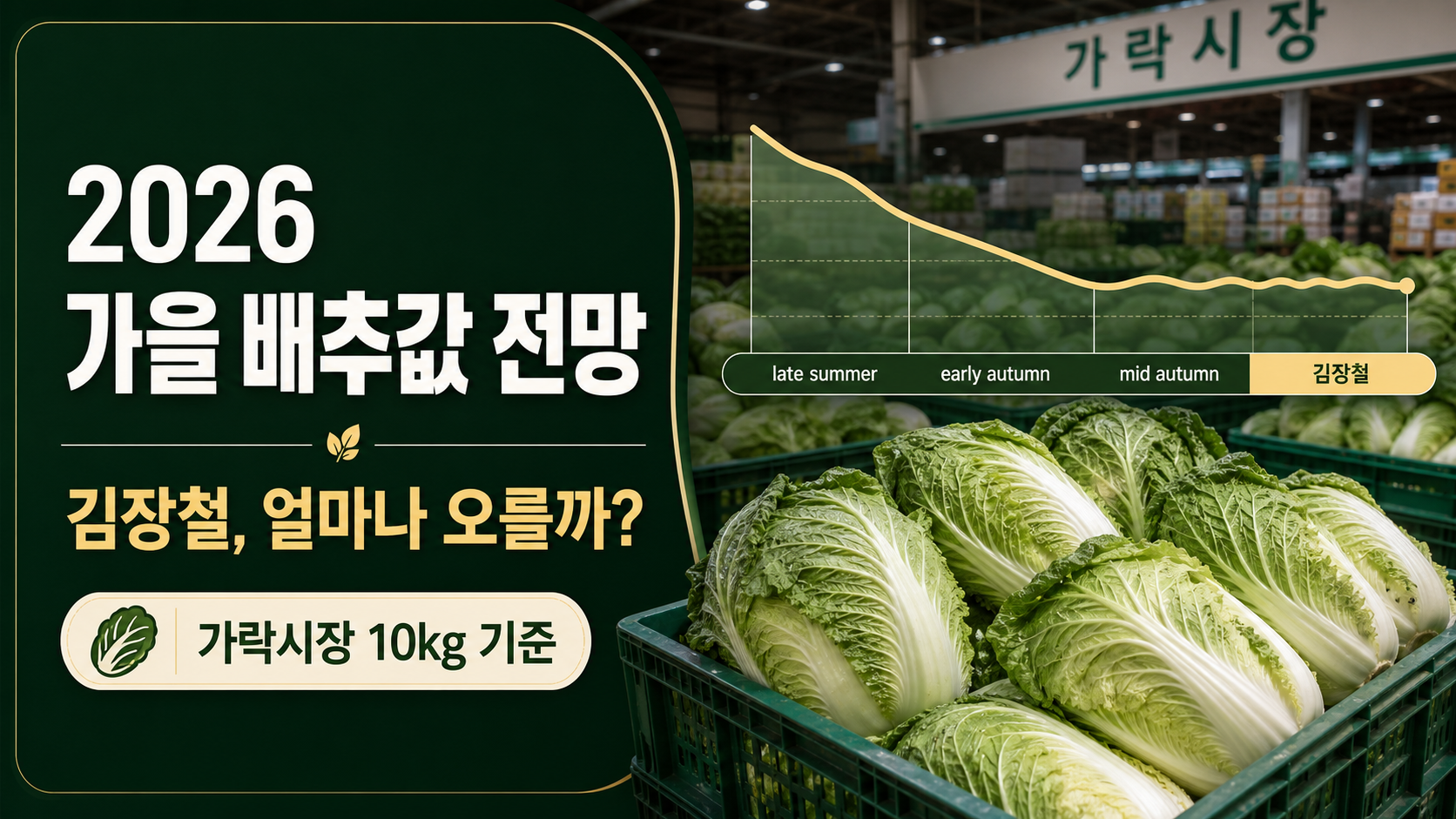 2026년 가을 배추 도매가격 전망