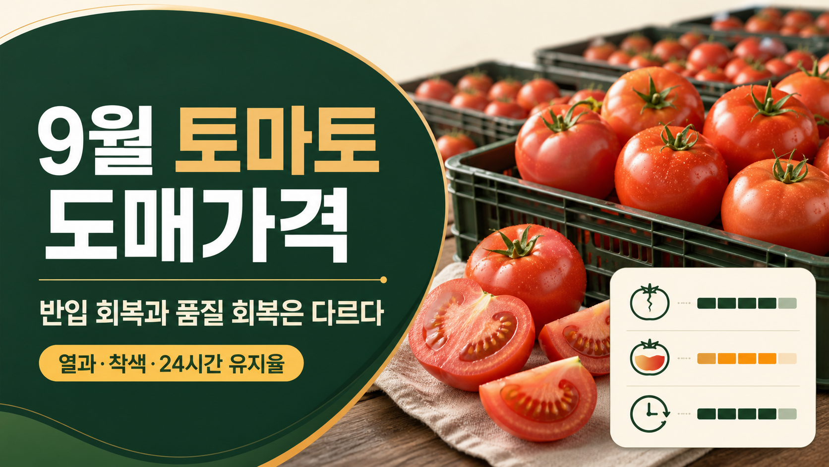 9월 토마토 도매가격—폭염 뒤 출하 회복과 품질 확인법