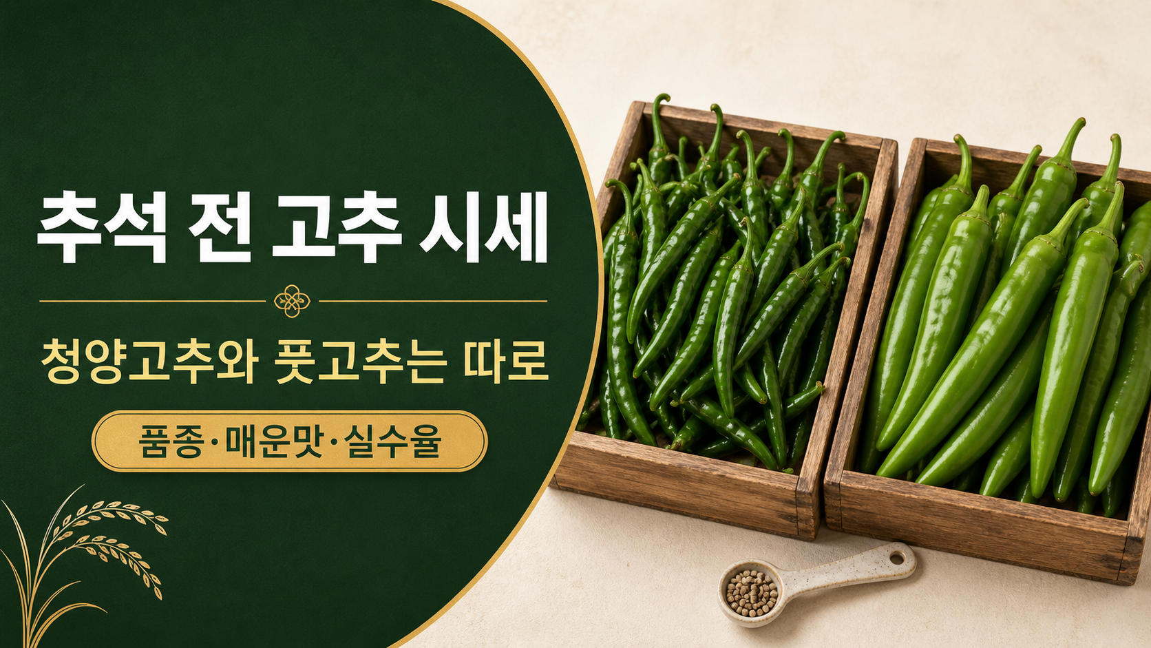추석 전 청양고추·풋고추 시세—고명과 양념 원가 지키는 법