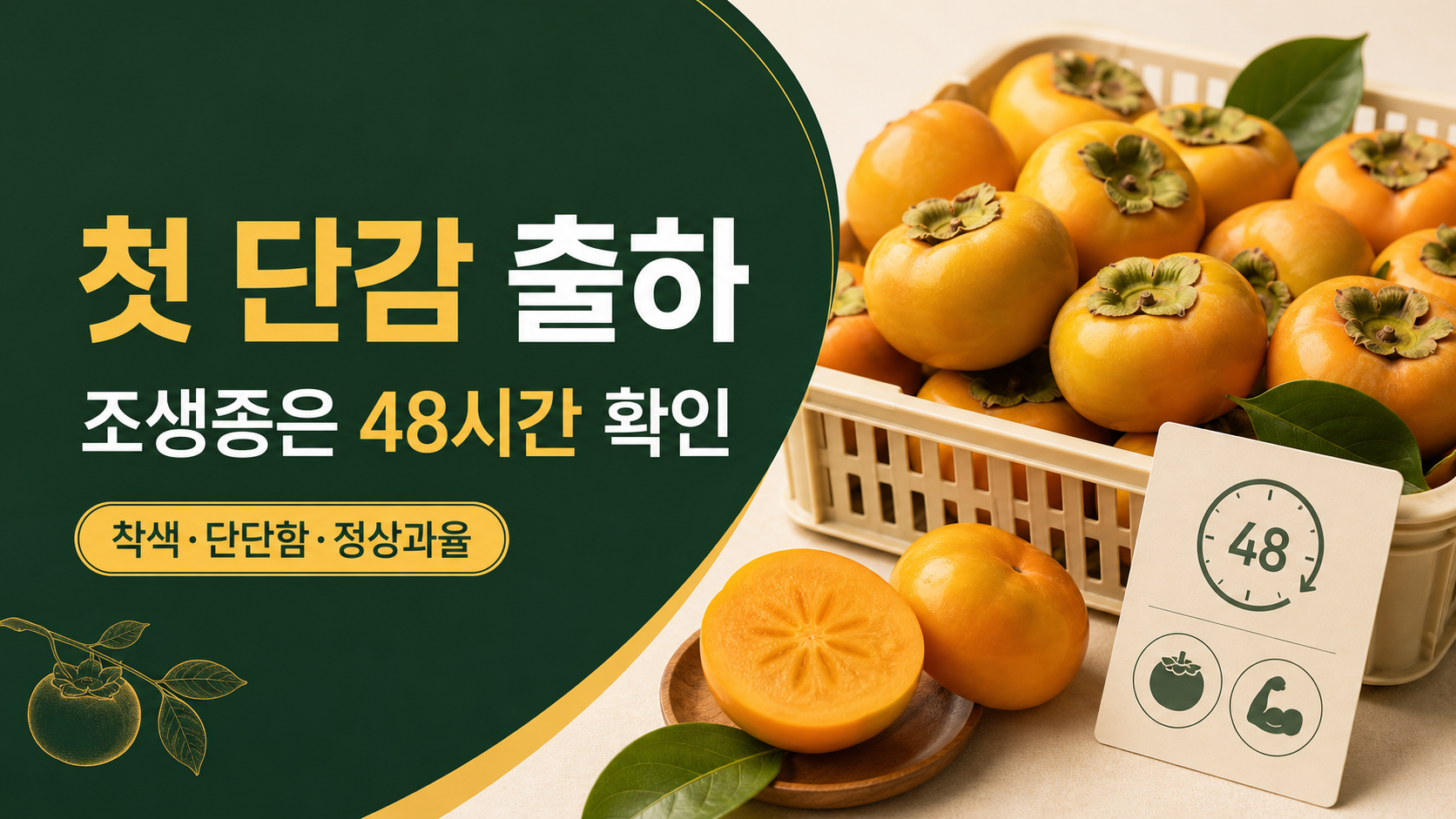 첫 단감 출하 시기—조생종 도매가격과 후숙·저장 확인법